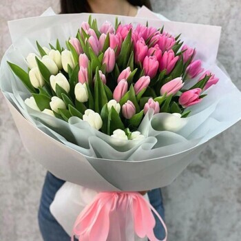 Мир в розовом цвете 51 Тюльпан